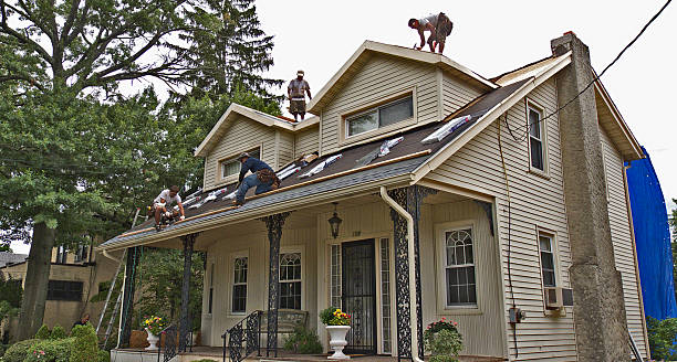 Roof Gutter Cleaning in Green Cove Springs, FL