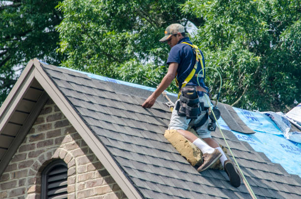 Quick and Trustworthy Emergency Roof Repair Services in Green Cove Springs, FL